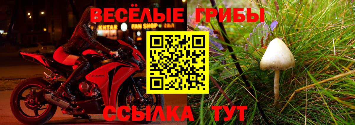 Ачинск  Псилоцибиновые грибы мухоморы  Вход с VPN 