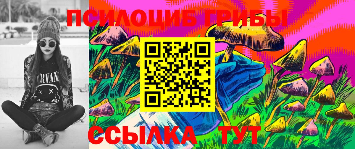 Галлюциногенные грибы Psilocybe Ачинск